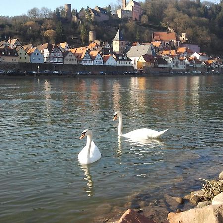 Romantisches Hirschhorn Am Neckar Dış mekan fotoğraf