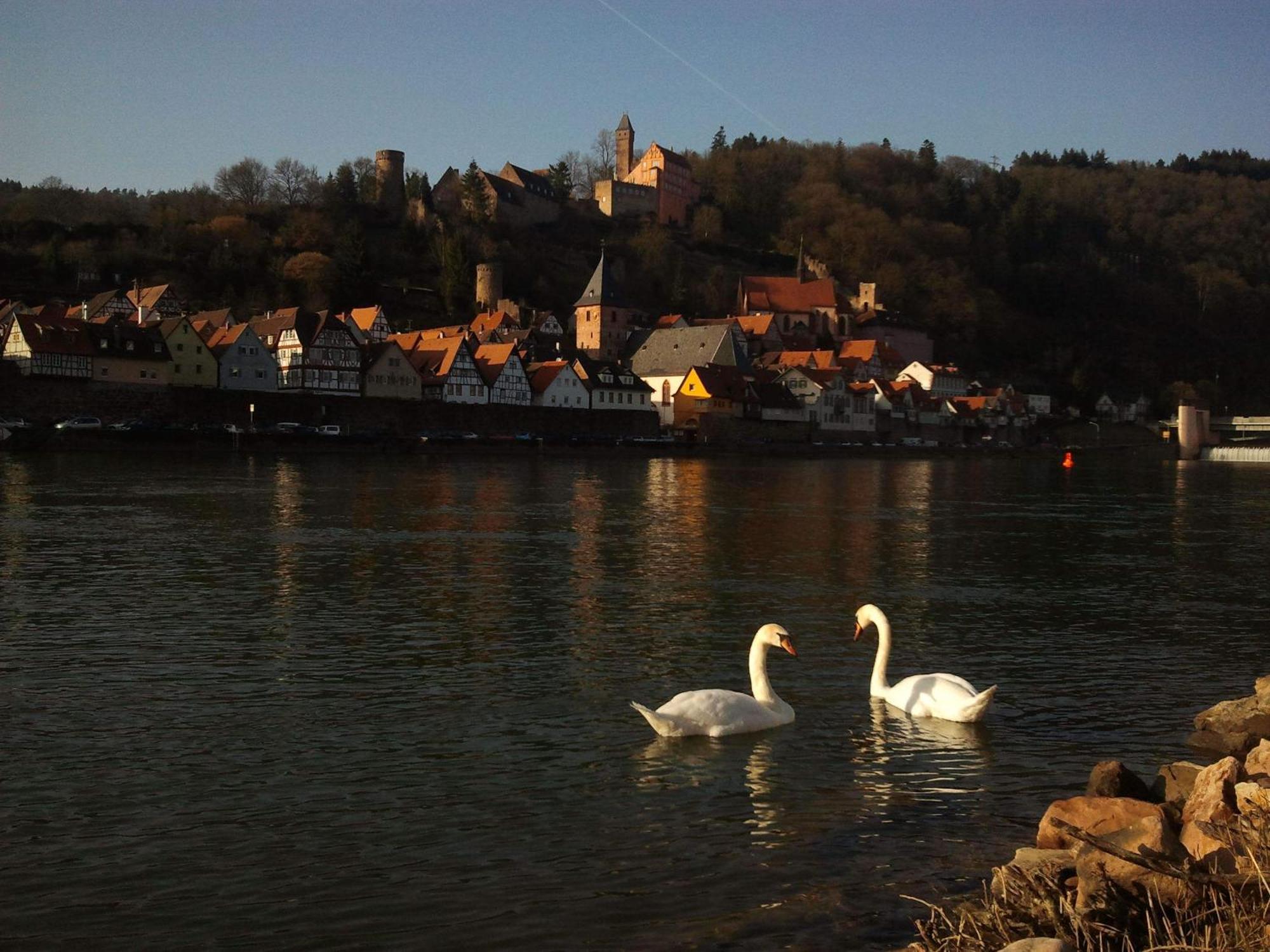 Romantisches Hirschhorn Am Neckar Dış mekan fotoğraf