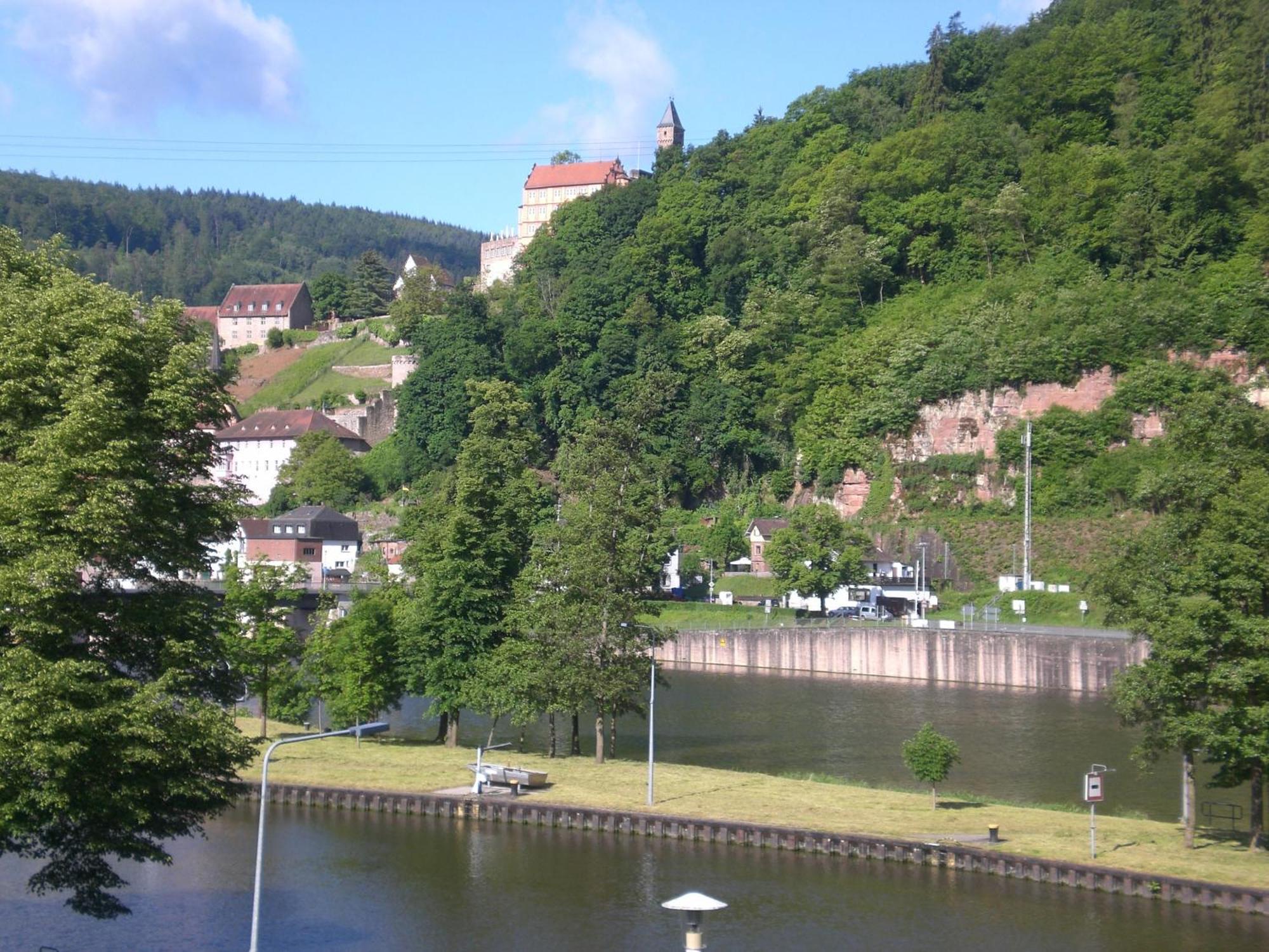 Romantisches Hirschhorn Am Neckar Dış mekan fotoğraf