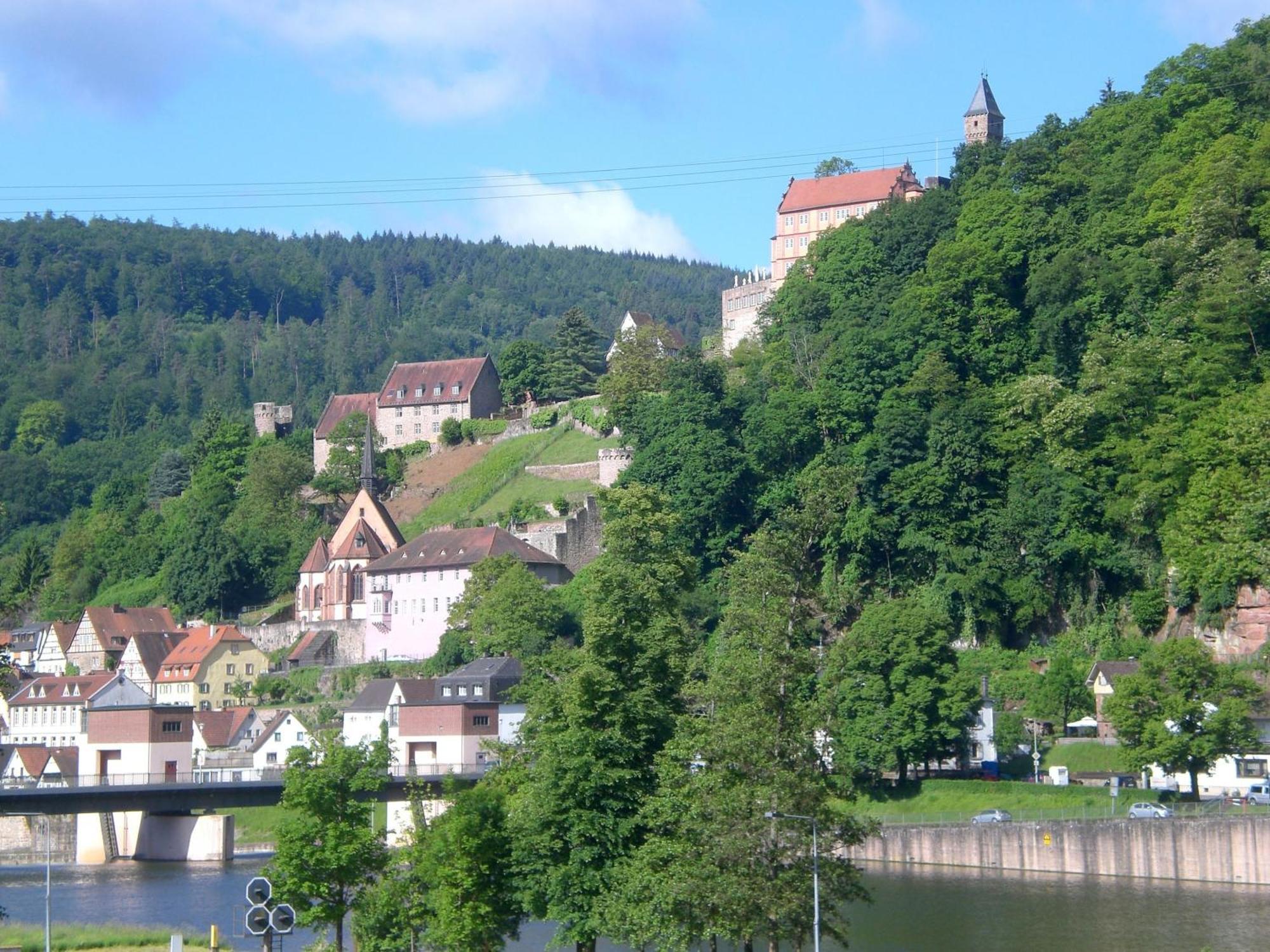 Romantisches Hirschhorn Am Neckar Dış mekan fotoğraf