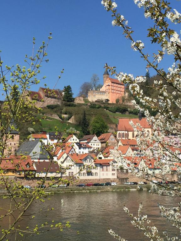 Romantisches Hirschhorn Am Neckar Dış mekan fotoğraf