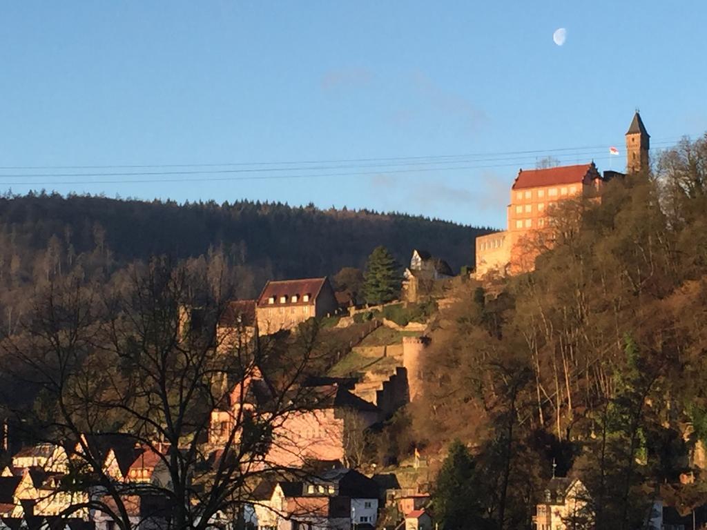 Romantisches Hirschhorn Am Neckar Dış mekan fotoğraf