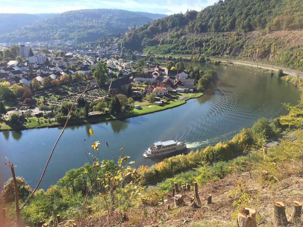 Romantisches Hirschhorn Am Neckar Dış mekan fotoğraf